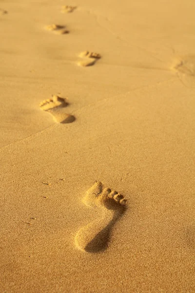 Footprints in sand — Stock Photo, Image