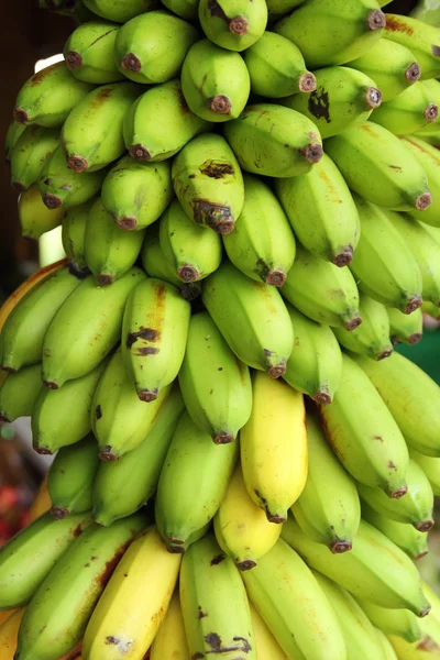 바나나의 큰 무리 — 스톡 사진