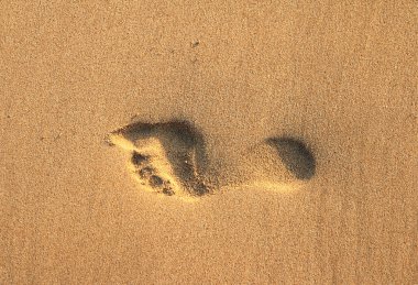 Kumda ayak izi