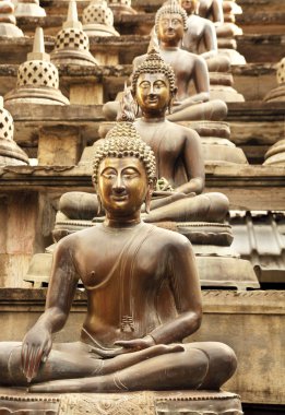 Buda lotus pozisyon
