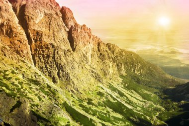 Çay tarlası manzarası