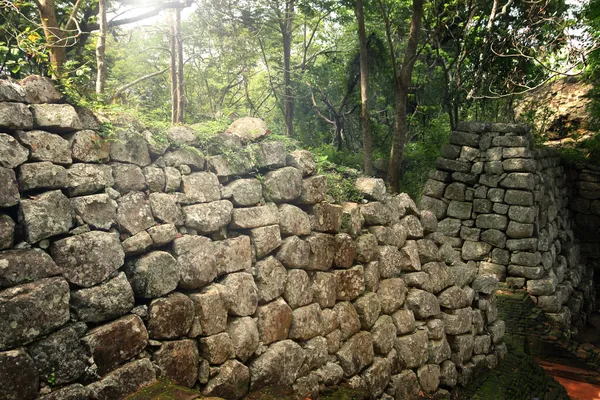 Ερείπια στη ζούγκλα — Φωτογραφία Αρχείου