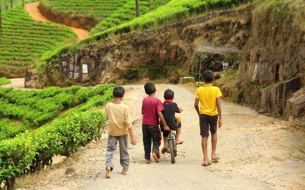 Village boys learning to ride bike — Stockfoto