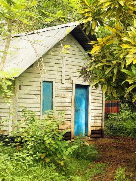 Hus i djungeln — Stockfoto
