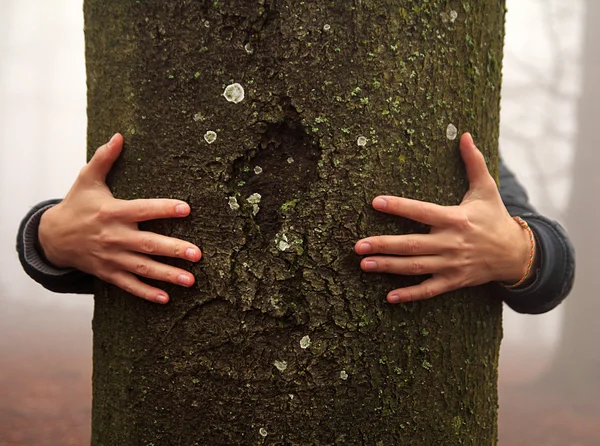 Ręce przytulanie drzewo — Zdjęcie stockowe