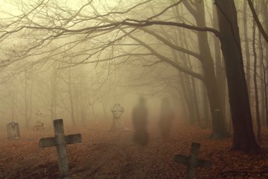 Spooky ormanı mezarlıkta