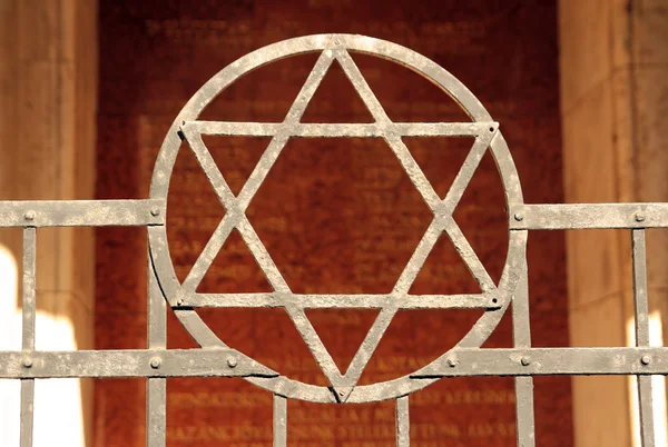 大卫星在犹太教堂 — 图库照片