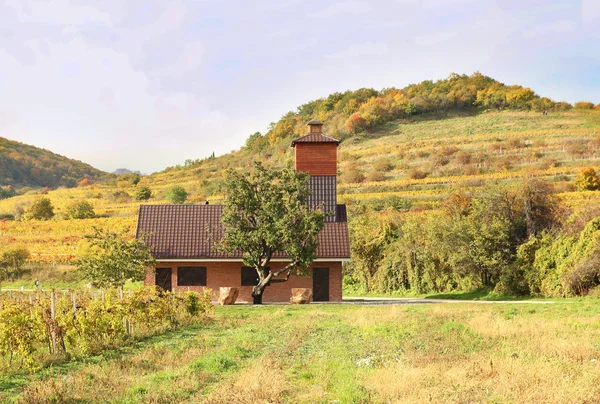 Casa em vinhas de outono — Fotografia de Stock