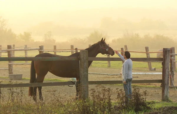 Paard en mens zonsondergang — Stockfoto