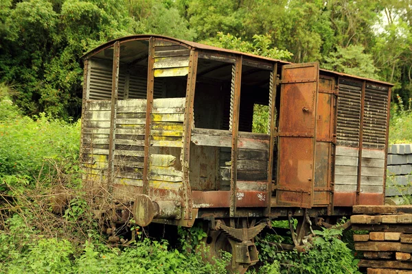 Çürümüş tren — Stok fotoğraf