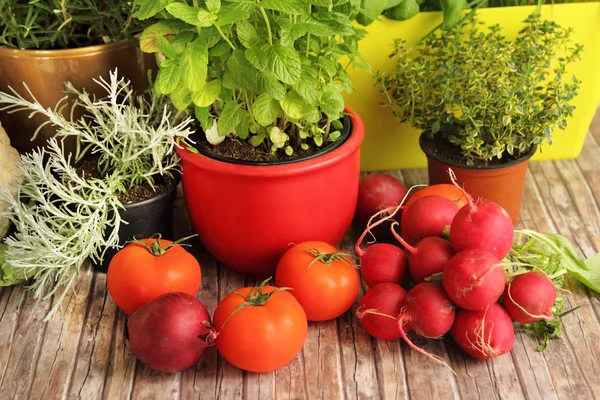 Hierbas y verduras de cosecha propia —  Fotos de Stock