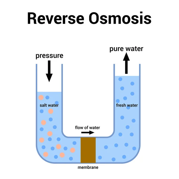 Esquema Del Proceso Purificación Agua Ósmosis Inversa — Vector de stock