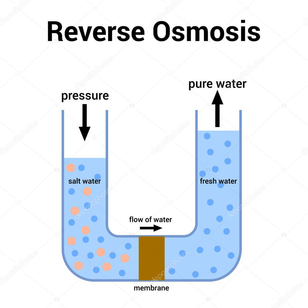 schematic of Reverse osmosis (RO) water purification process