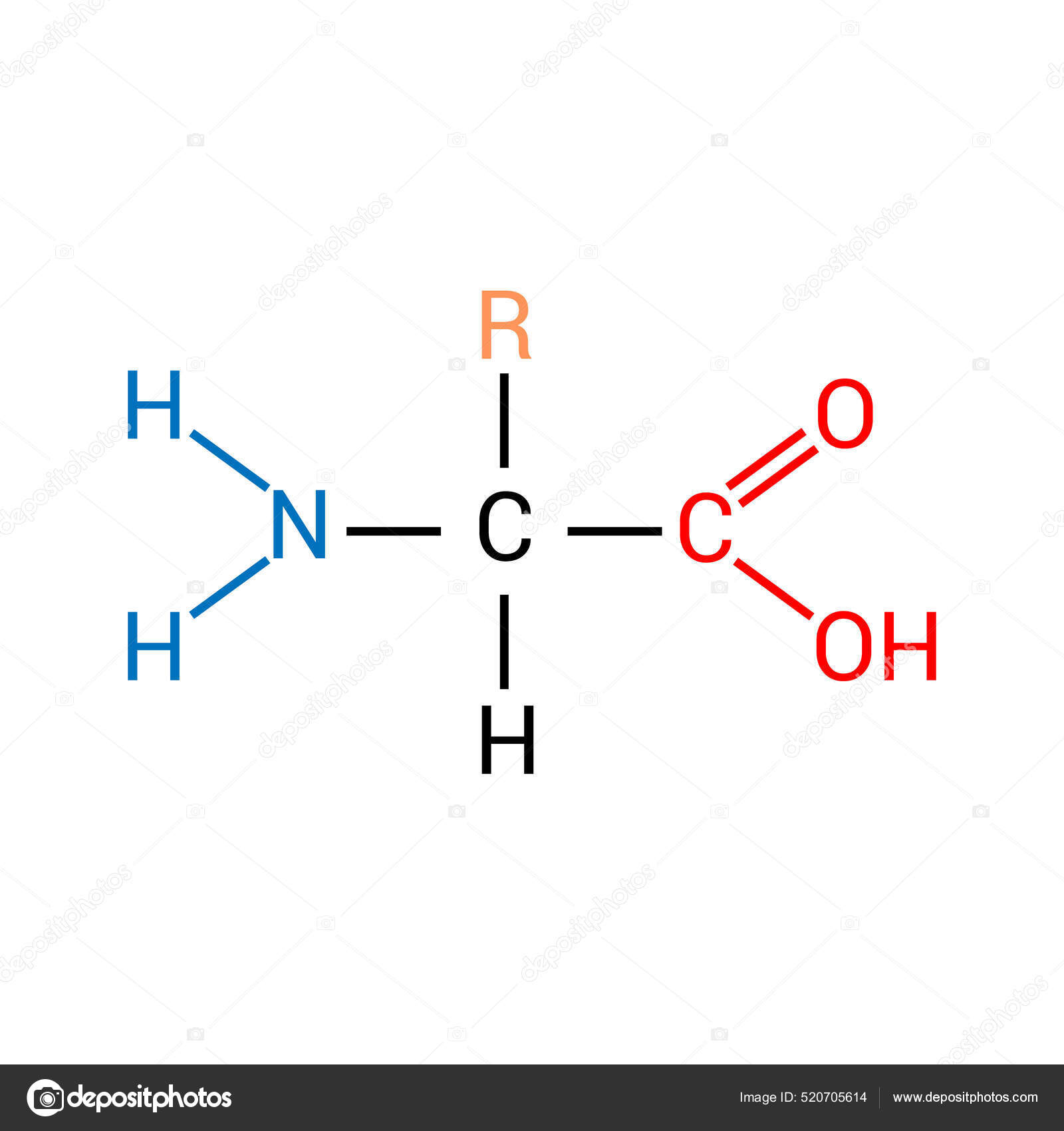General Structure Amino Acid Stock Vector by ©zizou07 520705614