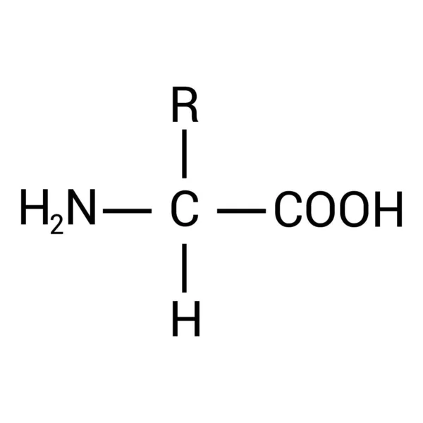 Structure Générale Acide Aminé — Image vectorielle