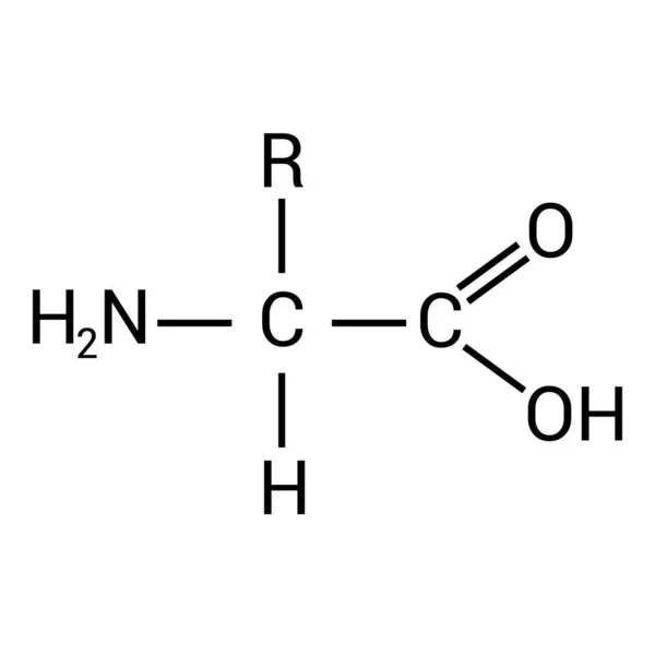 Die Allgemeine Struktur Einer Aminosäure — Stockvektor