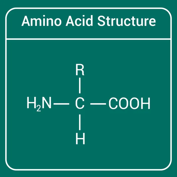 Estructura General Aminoácido — Vector de stock