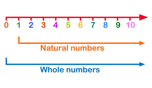 natural numbers and whole numbers line