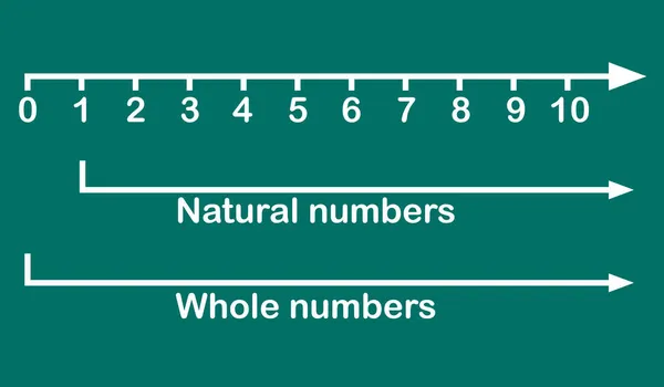 Numeri Naturali Numeri Interi Linea — Vettoriale Stock