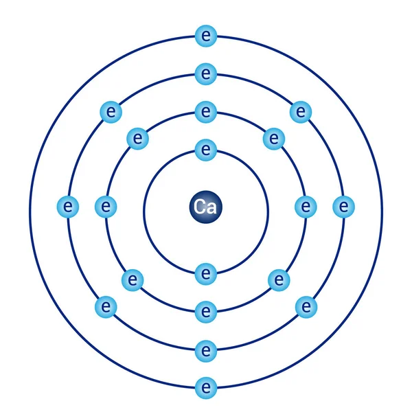 Diagrama Modelo Bohr Calcio Física Atómica — Archivo Imágenes Vectoriales
