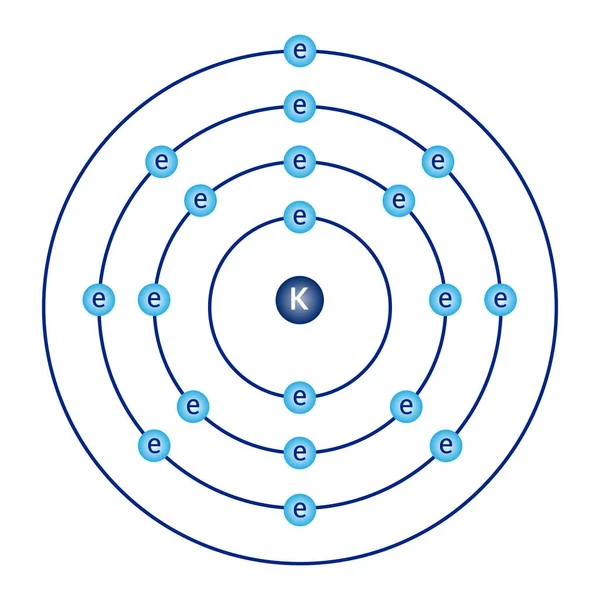 Diagrama Modelo Bohr Potasio Física Atómica — Archivo Imágenes Vectoriales