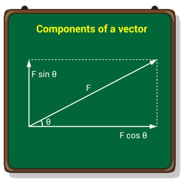Fizikte tek tip manyetik alan diyagramı