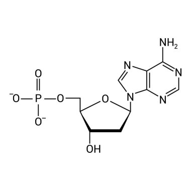 DNA nükleotidinin kimyasal yapısı