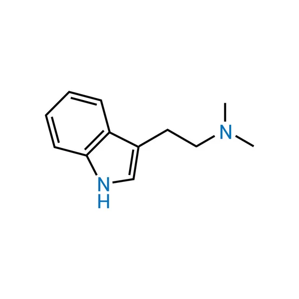 Химическая Структура Диметилтриптамина C12H16N2 — стоковый вектор