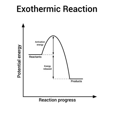 exothermic reaction graph in chemistry clipart