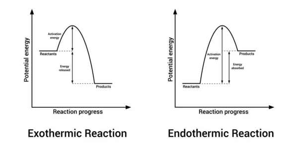 Экзотермические Эндотермические Реакции Химии — стоковый вектор