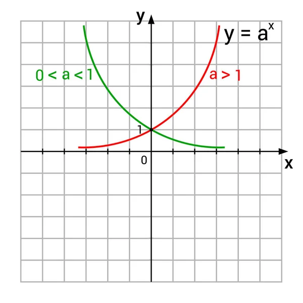 Exponenciális Függvénygrafikonok Grafikus Bemutatása — Stock Vector