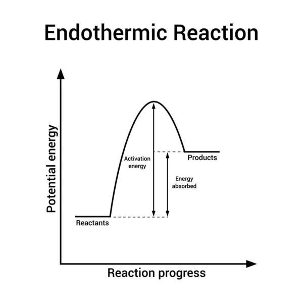 Граф Эндотермической Реакции Химии Лицензионные Стоковые Векторы
