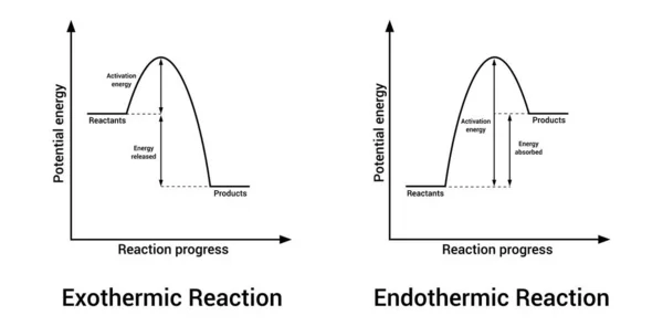 Экзотермические Эндотермические Реакции Химии Векторная Графика