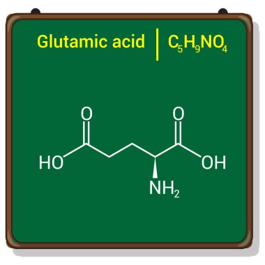 Glutamik asidin kimyasal yapısı (C5H9NO4)