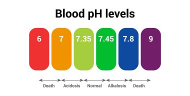 İnsan kanı pH düzeyi simgesi