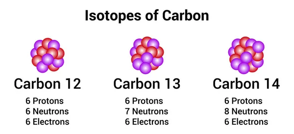 Tiga Isotop Alami Karbon Stok Vektor