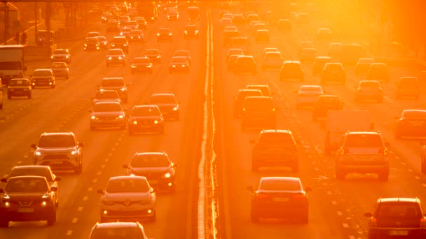 Zajęty Ulicy Pojazdu Dróg Zachód Słońca Dojeżdżających Samochodów Autostrady Ruchu — Wideo stockowe
