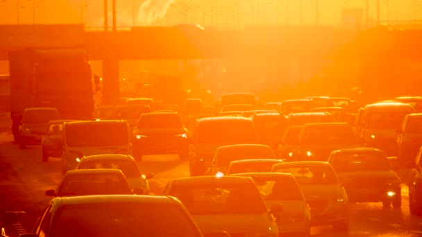 Befahrene Straßen Fahrzeug Straßen Sonnenuntergang Pendler Autos Autobahn Bewegter Verkehr — Stockvideo