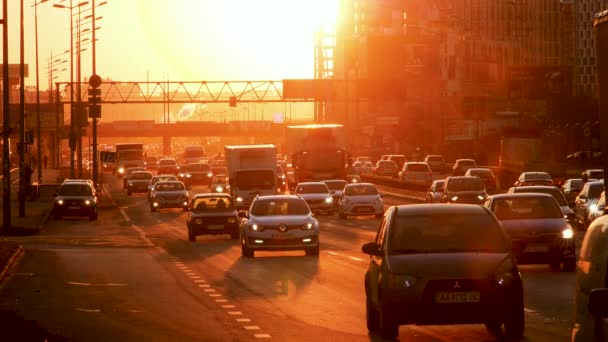 Drukke Straat Voertuig Wegen Zonsondergang Forensen Auto Snelweg Verplaatsen Verkeer — Stockvideo