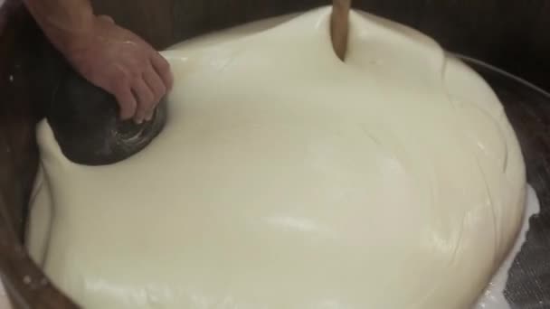 Местное традиционное производство сыра молочной продукции. Производство сыра из моцареллы ручной работы, изготовление молочных продуктов на сырном заводе, традиционное ремесло моцареллы, местное производство продуктов питания — стоковое видео