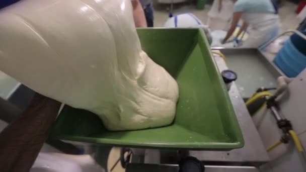 当地传统生产奶酪乳制品 手工加工生产莫扎拉奶酪手工制作奶酪工厂乳制品传统莫扎拉工艺制造本地食品 — 图库视频影像
