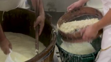 El yapımı mozzarella peyniri. El yapımı peynir fabrikası süt ürünleri. Geleneksel mozzarella ürünleri. Yerel geleneksel peynirli süt ürünleri