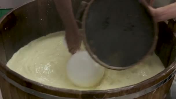 Ruční výroba sýrů mozzarella ruční výroba sýrů mléčné potraviny tradiční mozzarella řemeslné výroby místních potravin. Místní tradiční výroba sýrárenských výrobků — Stock video