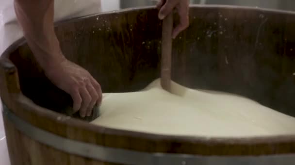 Ruční výroba sýrů mozzarella ruční výroba sýrů mléčné potraviny tradiční mozzarella řemeslné výroby místních potravin. Místní tradiční výroba sýrárenských výrobků — Stock video