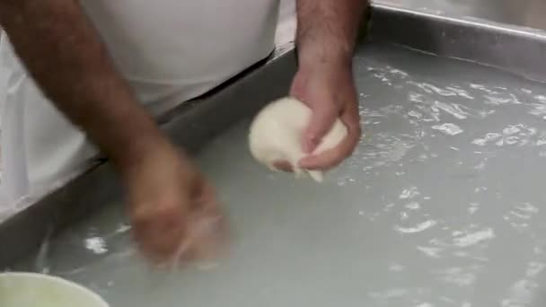 手工加工生产莫扎拉乳酪，手工制作乳酪制造厂的乳酪食品，传统的莫扎拉工艺制造本地食品。本地传统奶酪乳制品生产 — 图库视频影像