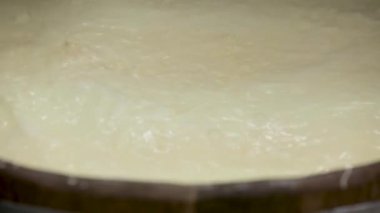 El yapımı mozzarella peyniri. El yapımı peynir fabrikası süt ürünleri. Geleneksel mozzarella ürünleri. Yerel geleneksel peynirli süt ürünleri