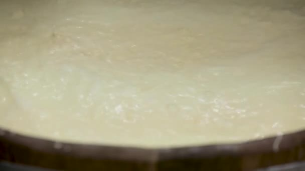 Handmade process production mozzarella cheese making manually cheese factory dairy food traditional mozzarella craft making local food manufacturing. Local traditional production cheese dairy produce — Stock Video