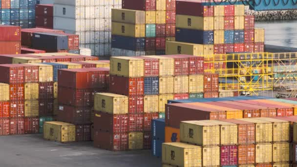 Vrachtcontainers Stapelen Zich Handelshaven Odessa Oekraïne Zeehaven Zwarte Zeehaven Container — Stockvideo