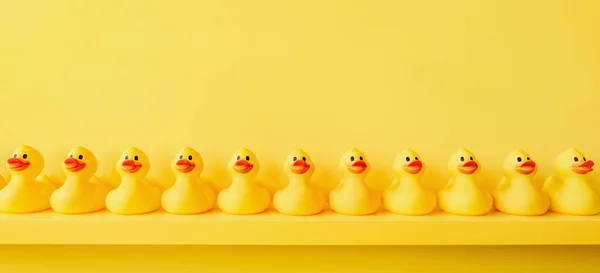 Banner Yellow Rubber Duck Background Yellow Ducks Row Rubber Duck — 图库照片