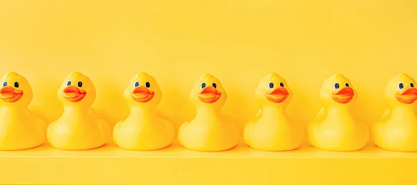 Banner Yellow Rubber Ducks Line Toy Design Shelf Decor Rubber — 图库照片